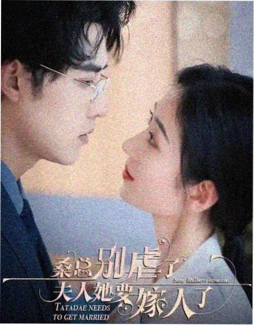 归途列车 都市情感剧全集免费观看