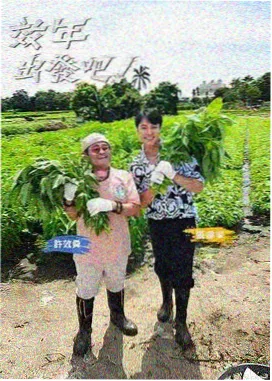 出发吧朋友 旅行综艺免费在线观看